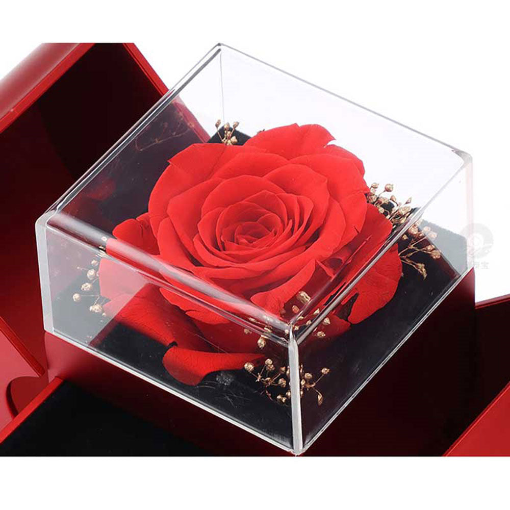Eternal Rose Apple Necklace Gift Box